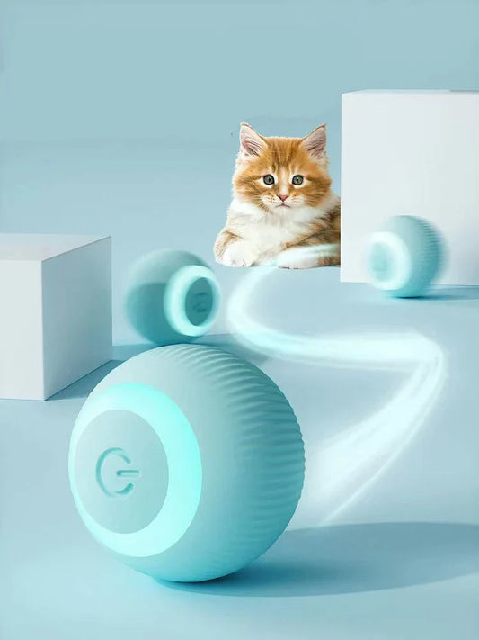 Silver Paws  Interactive Ball